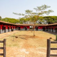 WhatsApp Image 2023-07-26 at 12.49.59 (14)